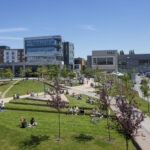 SEO Longbridge | Expert Services to Boost Local Search Rankings