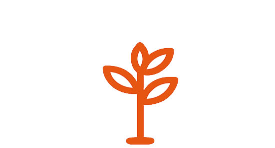 Pricing Image